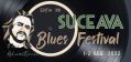 Suceava Blues Festival 2022.jpg